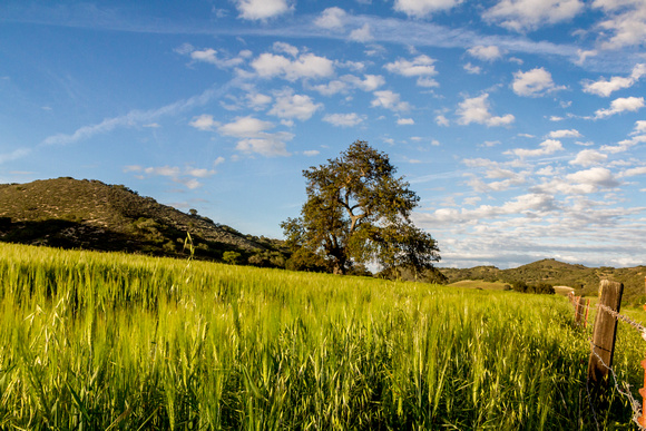 Ranchland outside King City, California