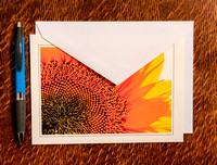 Photo Greeting Cards, Blank inside with Envelope