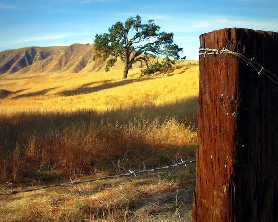 Western Range Fencepost