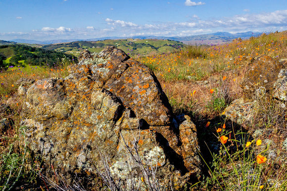 Hills of Santa Clara County, California