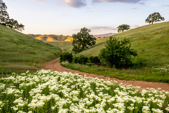 Hills of Santa Clara County, California