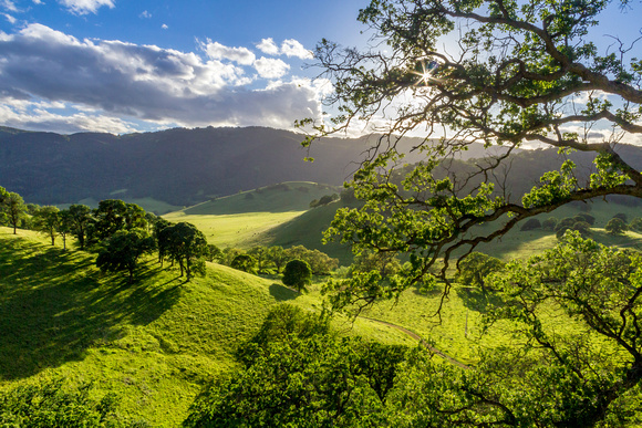 Green hills of Contra Costa County, California