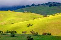 Green hills of San Benito County, California