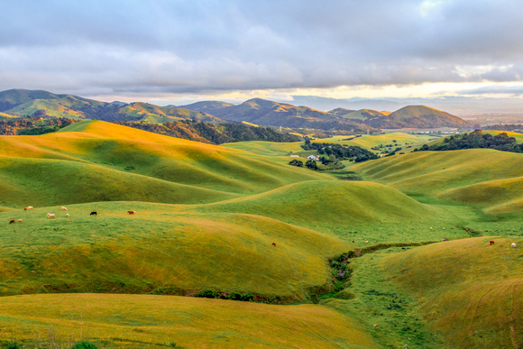 Ranch hills north of Salinas, California