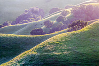 Green hills & Oaks of Carmel Valley, California