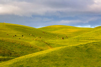 Green hills of south Monterey County, California