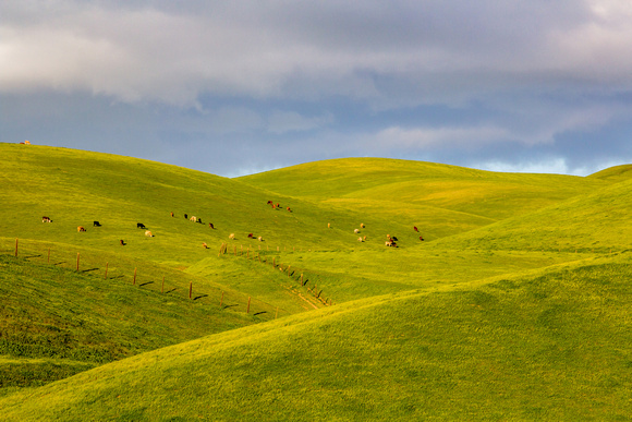 Green hills of south Monterey County, California