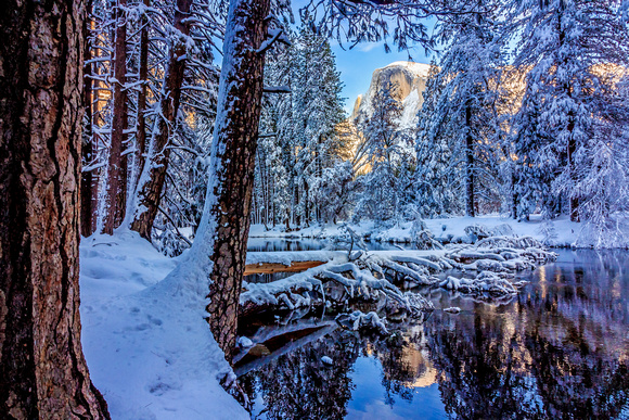 Half Dome framed by the trees in winter, Yosemite Valley, California
