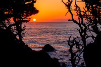 Pt. Lobos sunset, Carmel