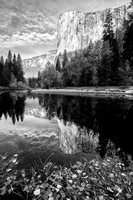 El Capitan reflection, Yosemite Valley, California