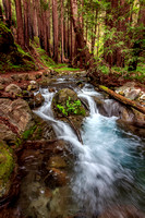 Creek through the redwoods, Limekiln State Park, California