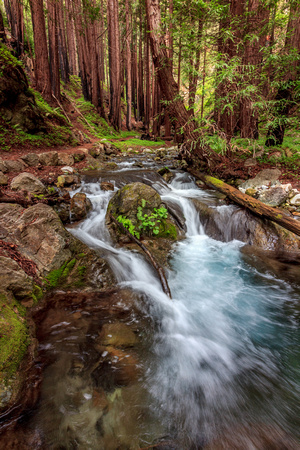 Creek through the redwoods, Limekiln State Park, California